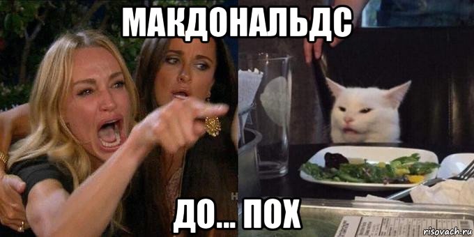 макдональдс до... пох, Мем Женщина орёт на кота