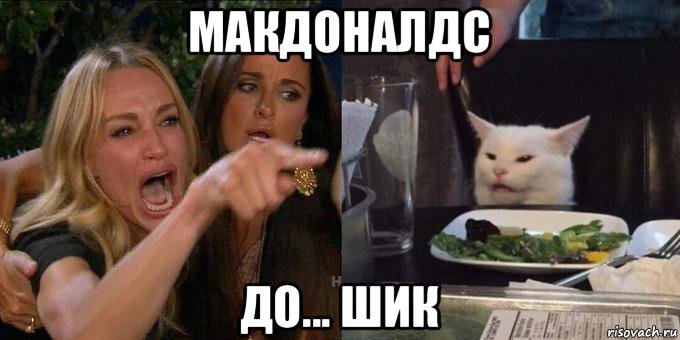 макдоналдс до... шик, Мем Женщина орёт на кота