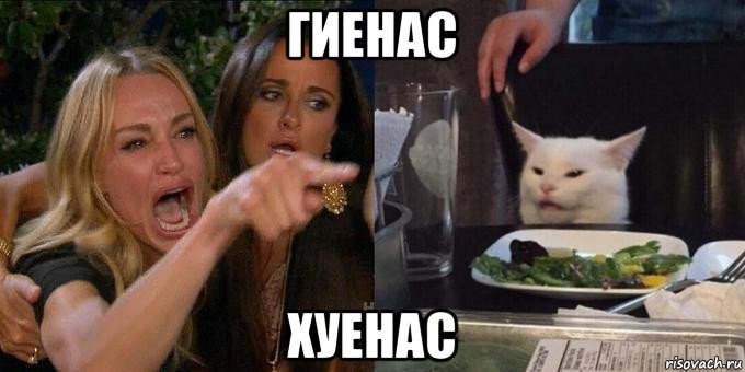 гиенас хуенас, Мем Женщина орёт на кота