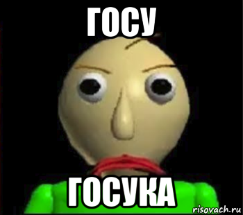 госу госука