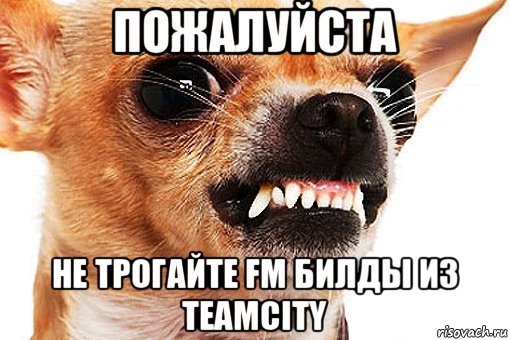 пожалуйста не трогайте fm билды из teamcity