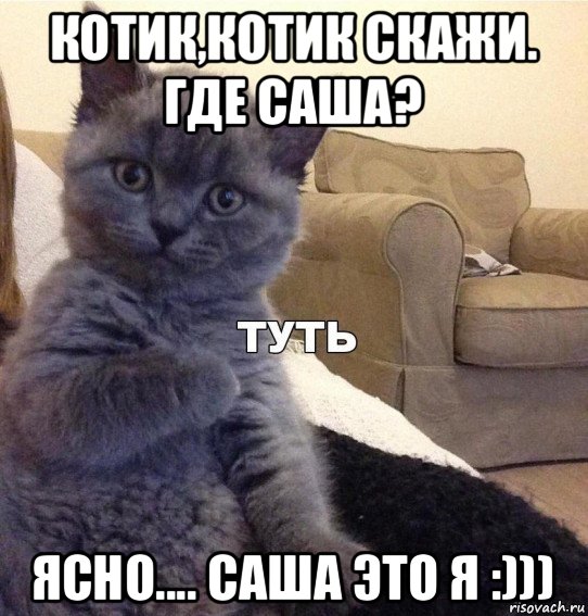 котик,котик скажи. где саша? ясно.... саша это я :)))