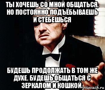 ты хочешь со мной общаться, но постоянно подъёбываешь и стебешься будешь продолжать в том же духе, будешь общаться с зеркалом и кошкой., Мем Мафия