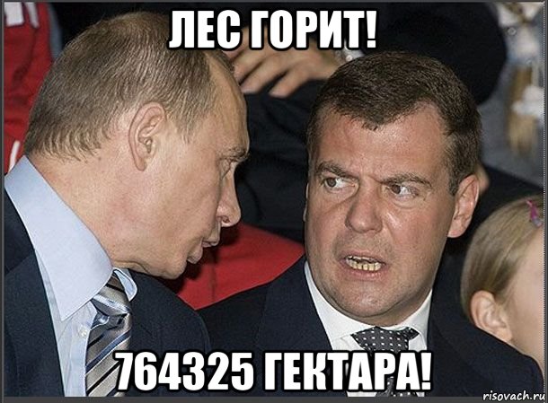 лес горит! 764325 гектара!, Мем Медведев Путин