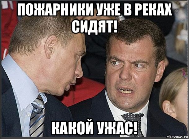 пожарники уже в реках сидят! какой ужас!, Мем Медведев Путин