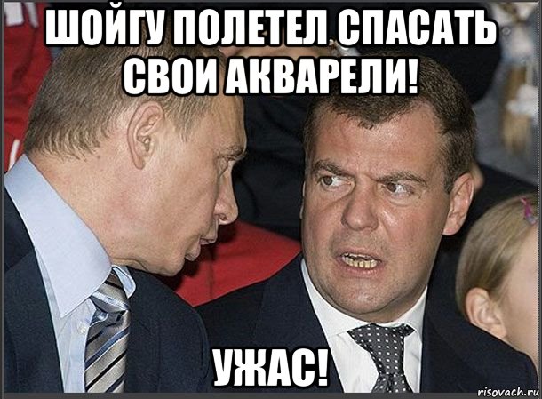 шойгу полетел спасать свои акварели! ужас!, Мем Медведев Путин