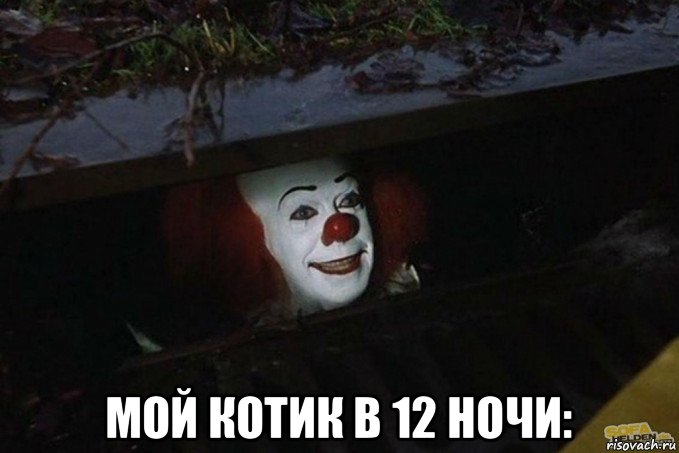  мой котик в 12 ночи: