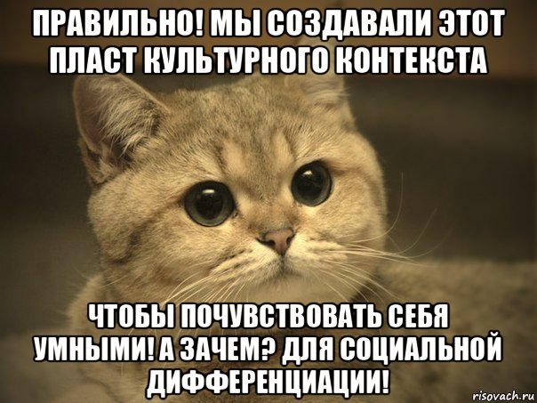 правильно! мы создавали этот пласт культурного контекста чтобы почувствовать себя умными! а зачем? для социальной дифференциации!, Мем Пидрила ебаная котик