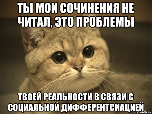 ты мои сочинения не читал, это проблемы твоей реальности в связи с социальной дифферентсиацией