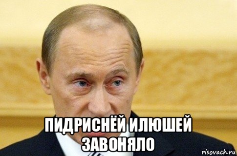  пидриснёй илюшей завоняло