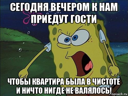 сегодня вечером к нам приедут гости чтобы квартира была в чистоте и ничто нигде не валялось!