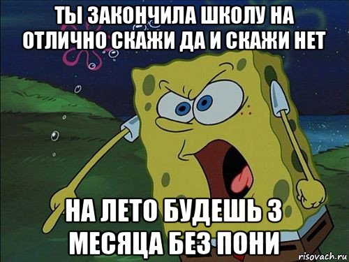 ты закончила школу на отлично скажи да и скажи нет на лето будешь 3 месяца без пони