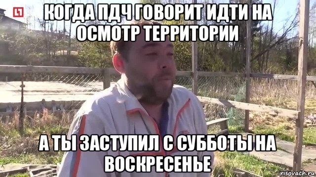 когда пдч говорит идти на осмотр территории а ты заступил с субботы на воскресенье, Мем  Ваще пахую