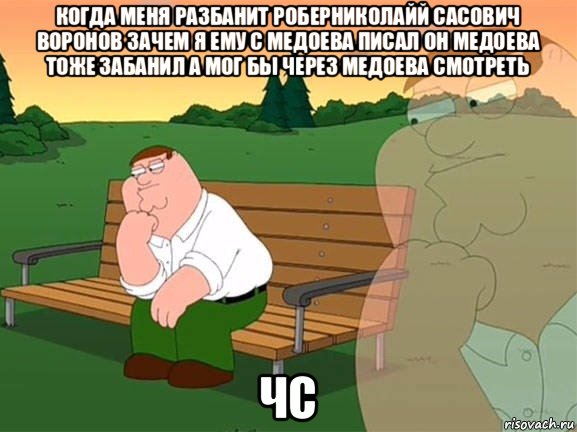 когда меня разбанит роберниколайй сасович воронов зачем я ему с медоева писал он медоева тоже забанил а мог бы через медоева смотреть чс, Мем Задумчивый Гриффин